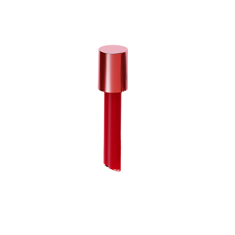 LD LIPGLOSS 4g ( REFILL TYPE ) image 2