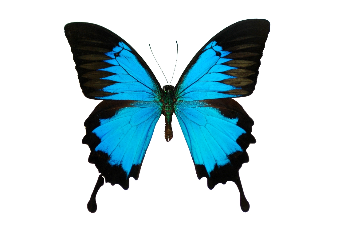 임시저장 0819 image 2