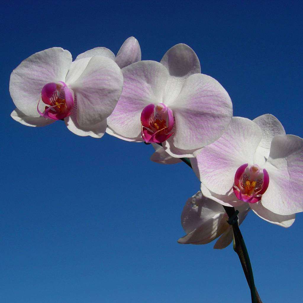 ctkclip test9999 image 5