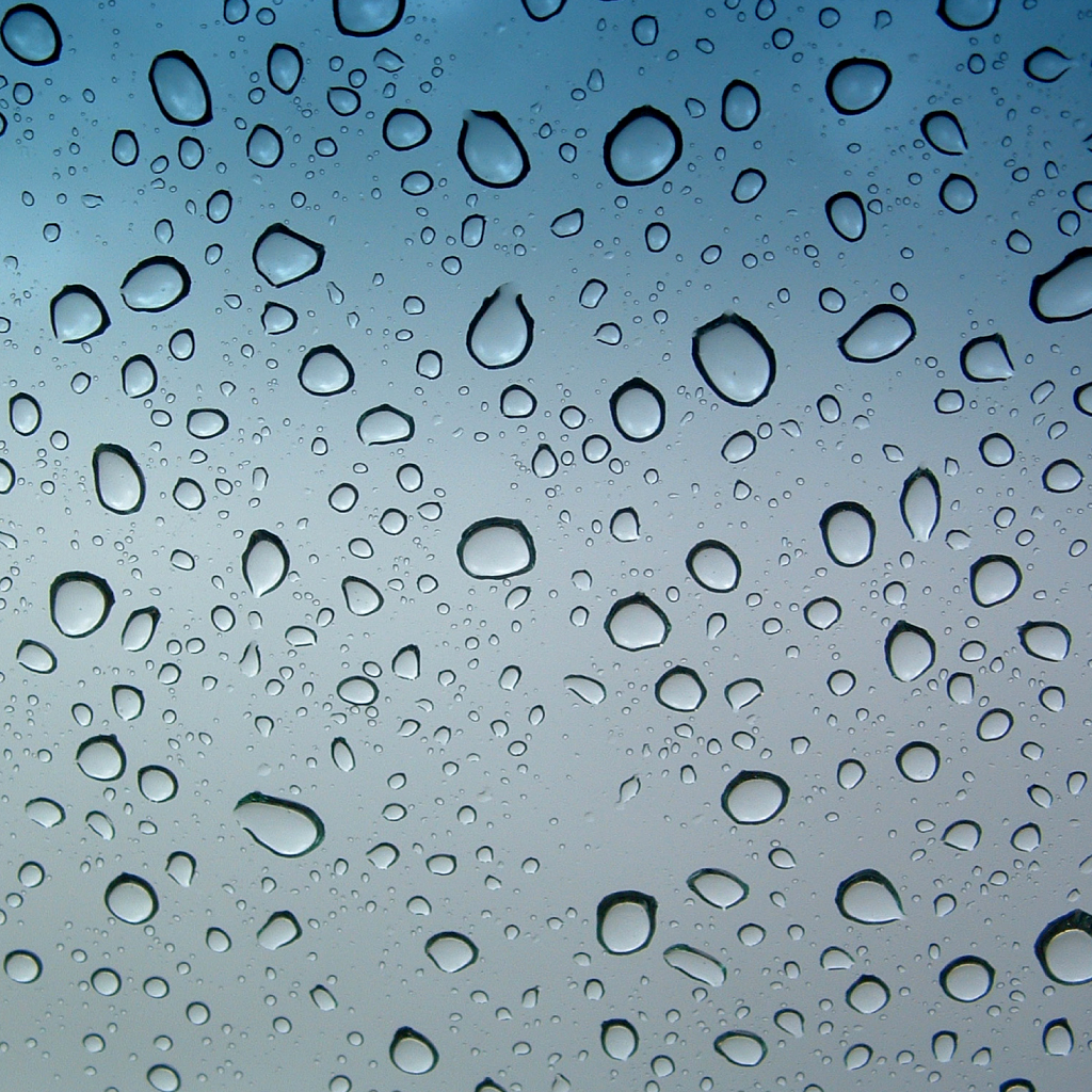 ctkclip test9999 image 10