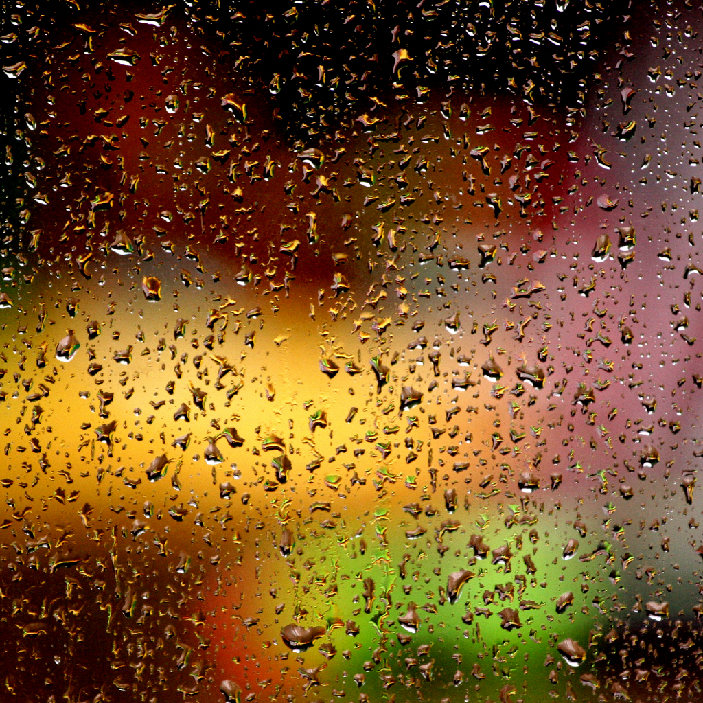 ctkclip test9999 image 8