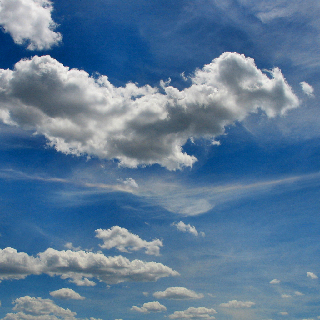 ctkclip test9999 image 9