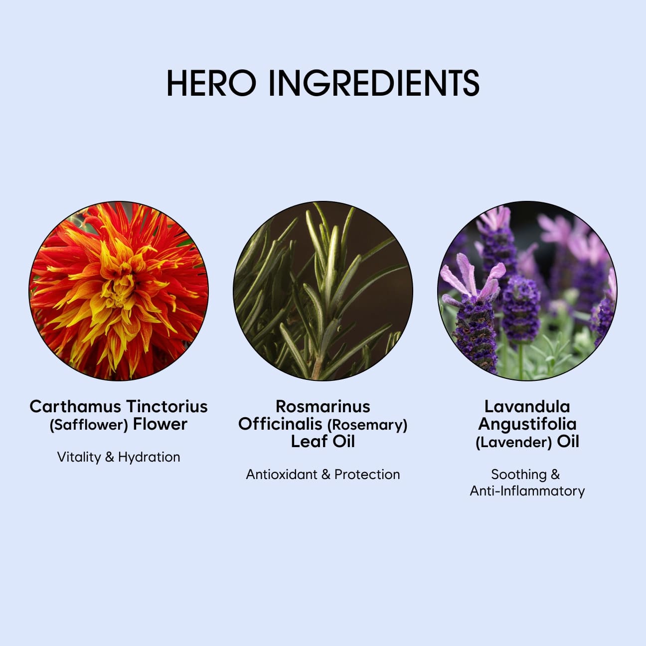 DAILY FOAM CLEANSER image 4