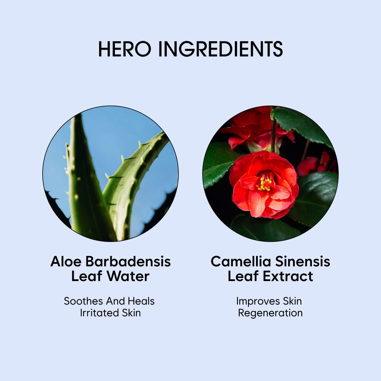 ALOE VERA REVITAL SOOTHING GEL image 4