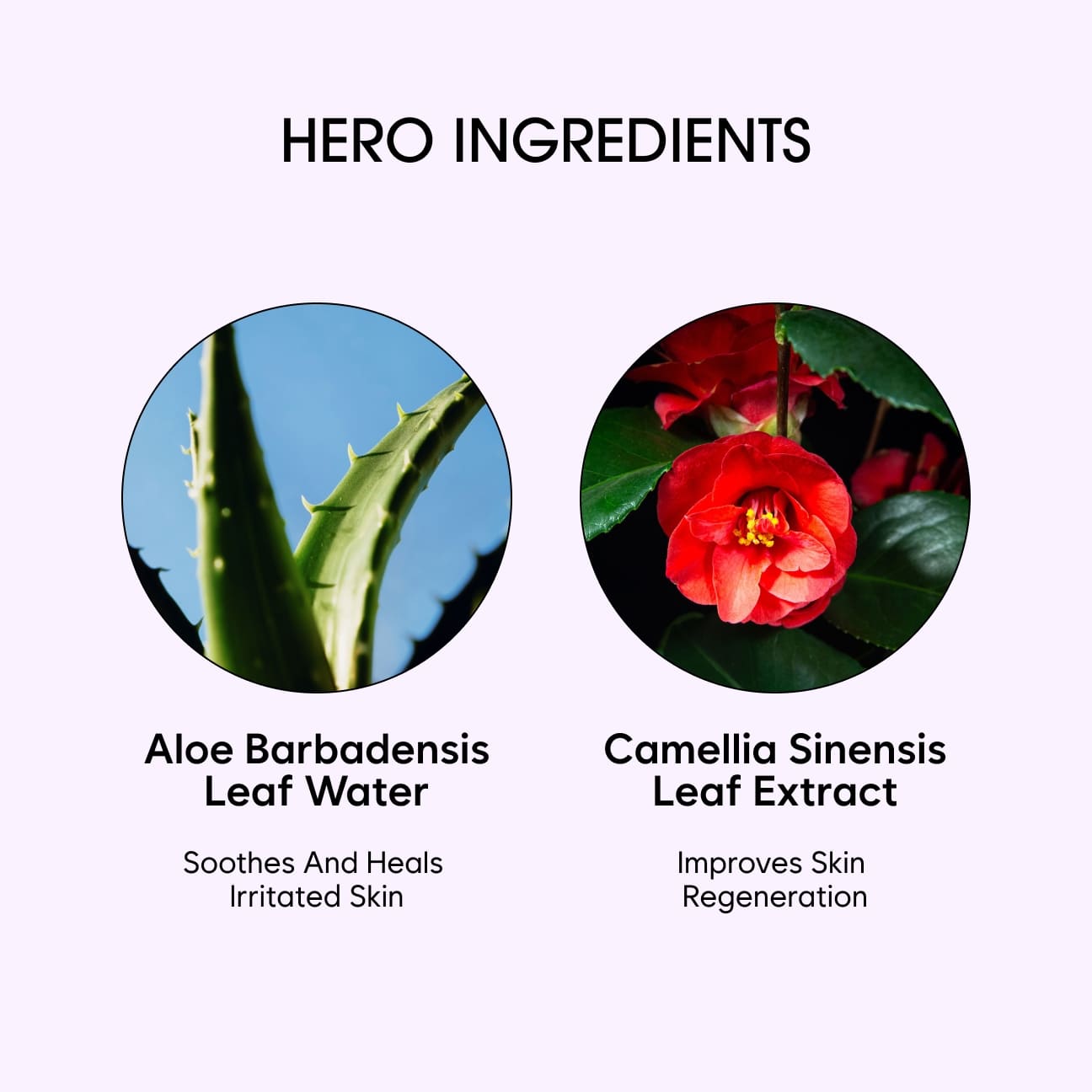 INTENSIVE SLIMMING HOT BODY CREAM image 4