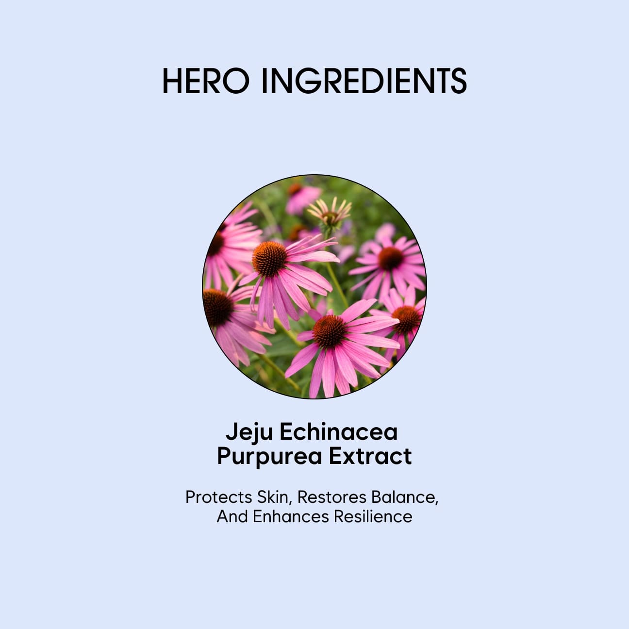 Vitalizing Essence Emulsion image 4