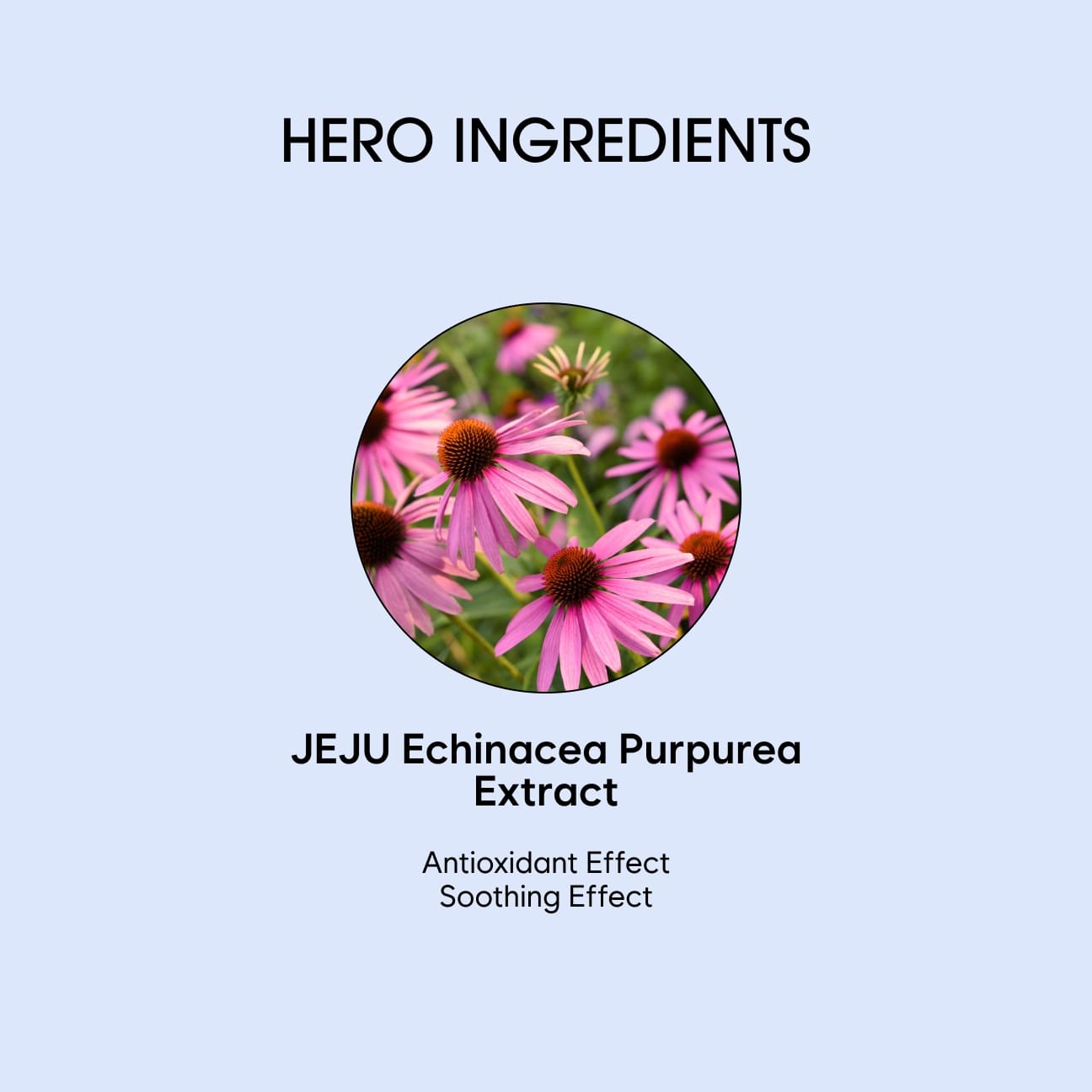 바이탈라이징 리페어링 크림 image 4