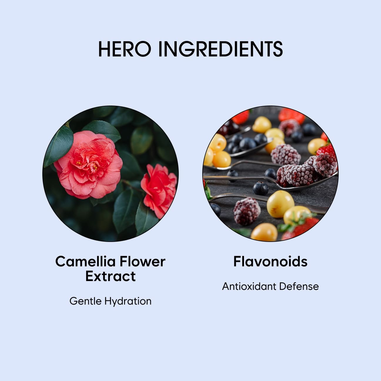 Camellia Moist Toner image 4