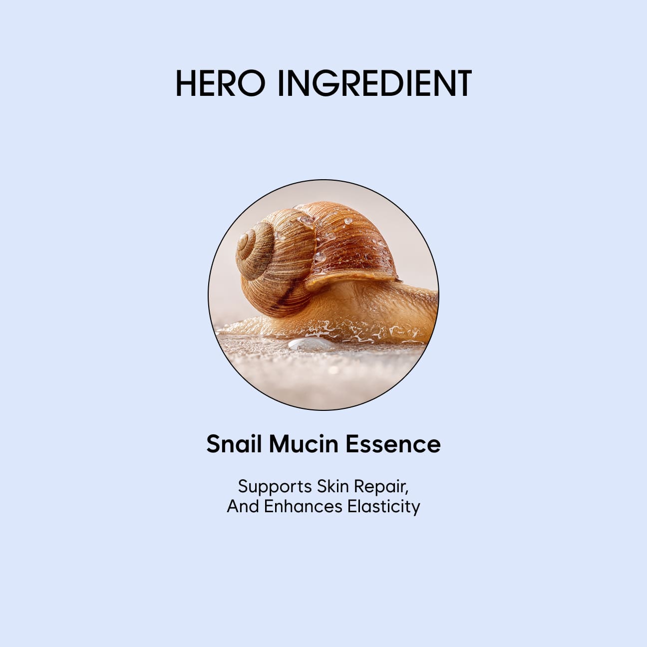 SNAIL CREAM image 4