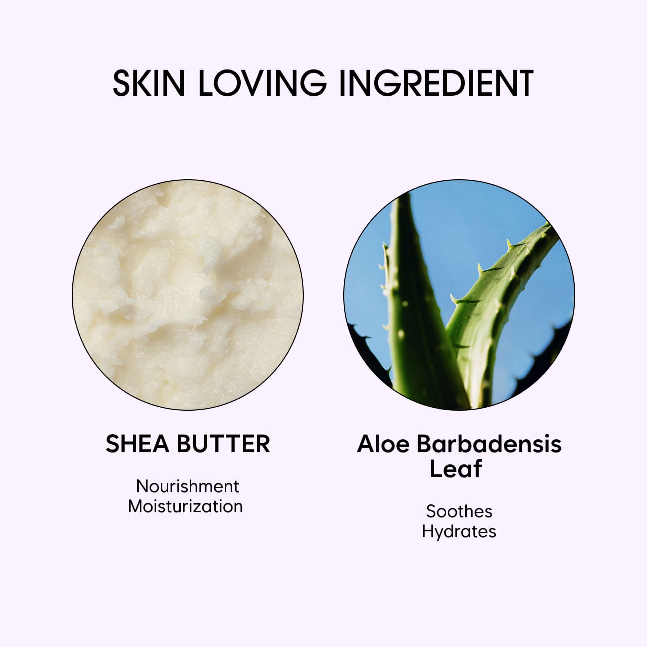 SHEA BUTTER BARRIER BODY CLEANSER image 4